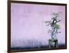 Tree in Vase and Pink Wall-Paul Souders-Framed Photographic Print