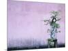 Tree in Vase and Pink Wall-Paul Souders-Mounted Photographic Print