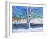 Tree in Winter, Newhaven, Derbyshire, 2017-Andrew Macara-Framed Giclee Print