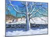 Tree in Winter, Newhaven, Derbyshire, 2017-Andrew Macara-Mounted Giclee Print