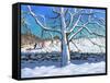 Tree in Winter, Newhaven, Derbyshire, 2017-Andrew Macara-Framed Stretched Canvas