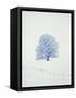 Tree in winter-Herbert Kehrer-Framed Stretched Canvas