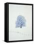 Tree in winter-Herbert Kehrer-Framed Stretched Canvas