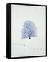 Tree in winter-Herbert Kehrer-Framed Stretched Canvas