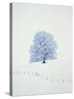 Tree in winter-Herbert Kehrer-Stretched Canvas