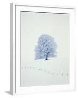 Tree in winter-Herbert Kehrer-Framed Photographic Print