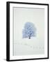 Tree in winter-Herbert Kehrer-Framed Photographic Print