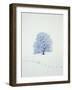 Tree in winter-Herbert Kehrer-Framed Photographic Print