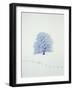 Tree in winter-Herbert Kehrer-Framed Photographic Print