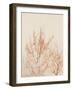 Tree in Winter-Myan Soffia-Framed Photographic Print