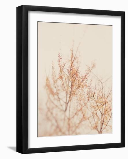 Tree in Winter-Myan Soffia-Framed Photographic Print