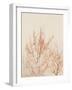 Tree in Winter-Myan Soffia-Framed Photographic Print