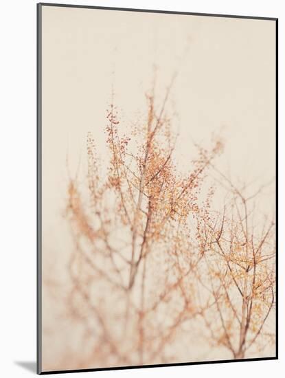Tree in Winter-Myan Soffia-Mounted Photographic Print