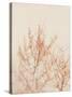 Tree in Winter-Myan Soffia-Stretched Canvas