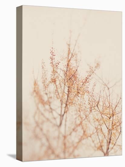 Tree in Winter-Myan Soffia-Stretched Canvas
