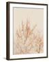 Tree in Winter-Myan Soffia-Framed Photographic Print