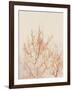 Tree in Winter-Myan Soffia-Framed Photographic Print