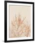 Tree in Winter-Myan Soffia-Framed Photographic Print