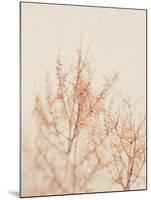 Tree in Winter-Myan Soffia-Mounted Photographic Print