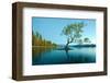 Tree Lake Wanaka New Zealand-null-Framed Art Print