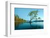 Tree Lake Wanaka New Zealand-null-Framed Art Print