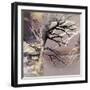 Tree Layers 8-Dorothy Berry-Lound-Framed Giclee Print