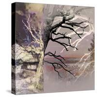 Tree Layers 8-Dorothy Berry-Lound-Stretched Canvas