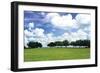 Tree Line 3-Alan Hausenflock-Framed Photographic Print