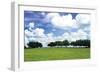 Tree Line 3-Alan Hausenflock-Framed Photographic Print