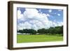 Tree Line 4-Alan Hausenflock-Framed Photographic Print