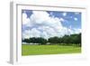 Tree Line 4-Alan Hausenflock-Framed Photographic Print