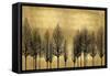 Tree Line on Gold-Kate Bennett-Framed Stretched Canvas