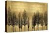 Tree Line on Gold-Kate Bennett-Stretched Canvas