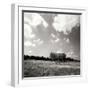 Tree Line Sq II-Alan Hausenflock-Framed Photographic Print