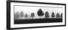 Tree Line-Erin Clark-Framed Art Print