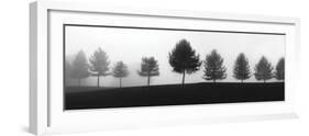 Tree Line-Erin Clark-Framed Art Print