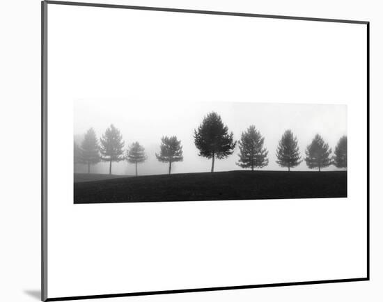 Tree Line-Erin Clark-Mounted Art Print