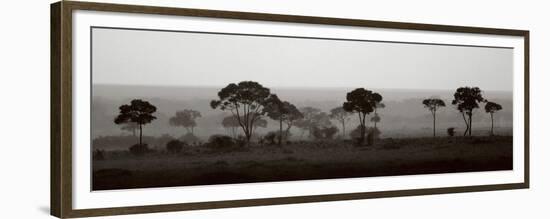 Tree Line-Jorge Llovet-Framed Premium Giclee Print
