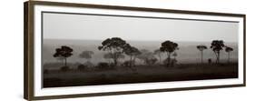 Tree Line-Jorge Llovet-Framed Premium Giclee Print