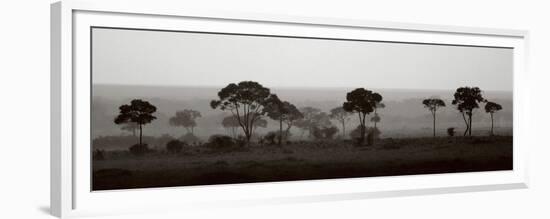 Tree Line-Jorge Llovet-Framed Premium Giclee Print