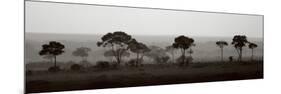 Tree Line-Jorge Llovet-Mounted Premium Giclee Print