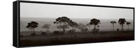 Tree Line-Jorge Llovet-Framed Stretched Canvas