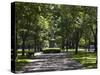 Tree Lined Central Mall in Commonwealth Avenue, Boston, Massachusetts, USA-Amanda Hall-Stretched Canvas