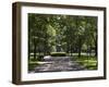 Tree Lined Central Mall in Commonwealth Avenue, Boston, Massachusetts, USA-Amanda Hall-Framed Photographic Print