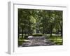 Tree Lined Central Mall in Commonwealth Avenue, Boston, Massachusetts, USA-Amanda Hall-Framed Photographic Print