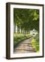 Tree Lined Country Lane, Dorset, England. Summer (July)-Adam Burton-Framed Photographic Print