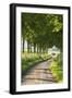 Tree Lined Country Lane, Dorset, England. Summer (July)-Adam Burton-Framed Photographic Print