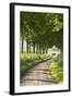 Tree Lined Country Lane, Dorset, England. Summer (July)-Adam Burton-Framed Photographic Print