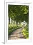 Tree Lined Country Lane, Dorset, England. Summer (July)-Adam Burton-Framed Photographic Print