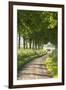 Tree Lined Country Lane, Dorset, England. Summer (July)-Adam Burton-Framed Photographic Print